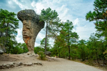 Fototapete Naturpark The Ciudad Encantada geological site near Cuenca, Spain  © ttinu