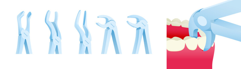 Dental Extracting Forceps Set. Cropped White Teeth with Extracting Forceps Close Up. Modern Flat Vector Illustration.