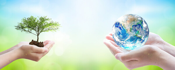  world environment and earth day, Two human hands holding big tree and earth globe over green and...