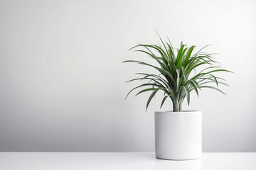 Houseplant, palm in a flowerpot on table or floor, blank grunge grey concrete wall background with copy space for text. Interior design concept. Image is AI generated.