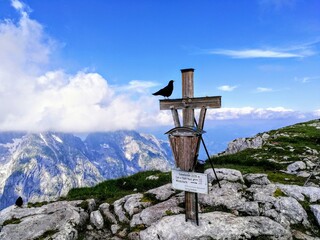 cross on the top of mountain with a bird