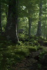 Natural forest with atmospheric lighting
