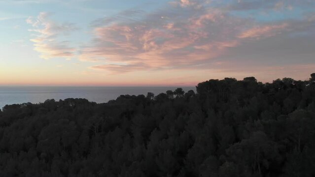 Drone tracking sideways past forest at sea with  pink clouds in sky early in morning