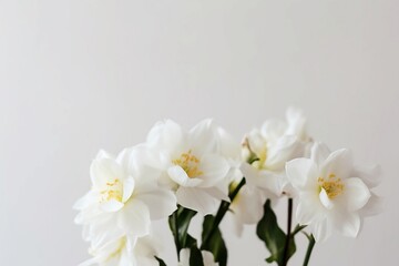 Naklejka na ściany i meble White Flowers on a White Background