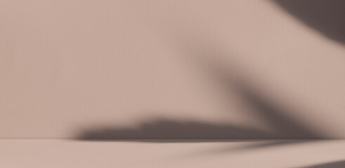 Loft Product Summer Studio Room Background,Peach Shadow Leaves on Podium Pland Cement Concrete Backdrop,Light Overlay from Window House Floor Wall Table Kitchen Counter Bar Desk Shelf Template.