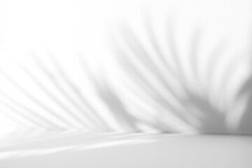 Abstract white studio background with shadows of palm leaves. Empty 3d room. Display product with blurred backdrop.