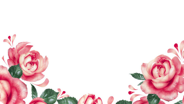 Floral border with pink roses and leaves, isolated
