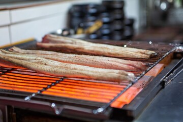 South Korea food grill an eel