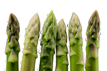 isolated green asparagus with dew droplets on their tips, arranged in a fan-like pattern on transparent background 