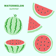 Illustration of watermelon collection set.