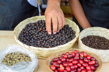Person showing coffee beans in their different phases.