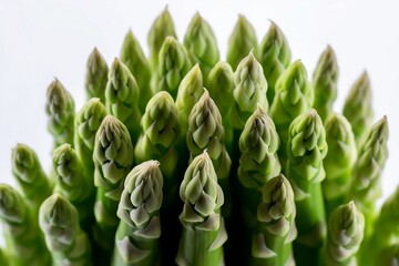 fresh bunch of green asparagus with dew droplets on their tips