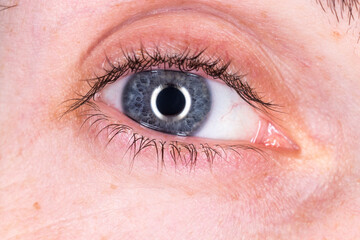 imagen detalle macro de un ojo azul iluminado con un ring flash 