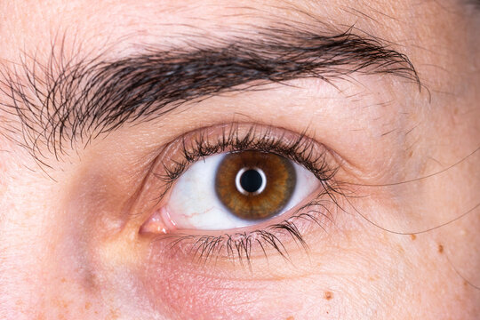 imagen detalle macro de un ojo marrón iluminado con un ring flash 