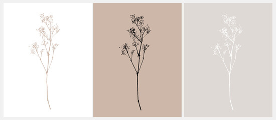 Delicate Hand Drawn Dry Twig Isolated on a White, Gray and Beige Background. Retro Style Delicate Sketched Herb Branch. Set of 3 Botanical Vector Illustration ideal for Wall Art, Card. No Text.