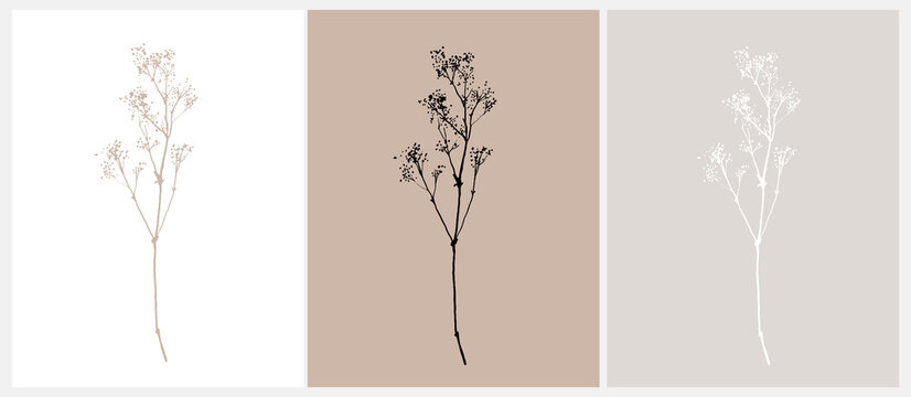 Delicate Hand Drawn Dry Twig Isolated on a White, Gray and Beige Background. Retro Style Delicate Sketched Herb Branch. Set of 3 Botanical Vector Illustration ideal for Wall Art, Card. No Text.