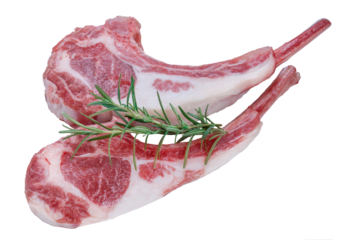 Australian lamb rack cutlets on white background or Raw Frenched Rack 8 Ribsisolate on white PNG File..
