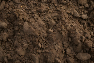 Soil Texture, made with generative AI 