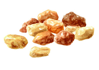 Sugar crystals. Hand drawn watercolor illustration,  isolated on white background