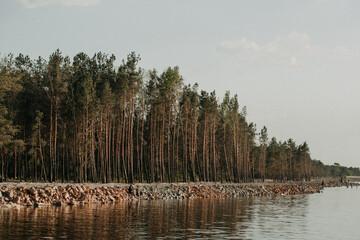 Landscape of river lake bank covered with rocks. Reflaction of pine forest on water. pastel evening sky with clouds.