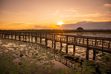 THAILAND PRACHUAP SAM ROI YOT LOTUS LAKE