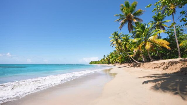 Natural tropical beach with bright palm trees on yellow sand. Turquoise ocean against a blue sky with clouds on a sunny summer day. Panoramic video of beautiful scenery. Travel to tropical paradise.