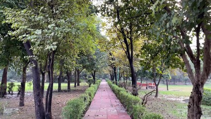 Footpath passing through trees in a park during the daytime in Delhi