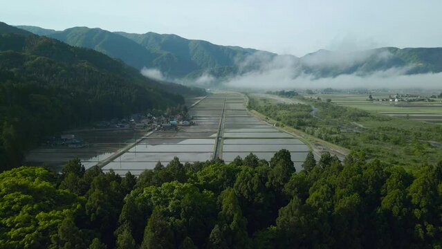 田舎の田んぼ 春 水田 田園風景 田植え 農業 ドローン 空撮 4K