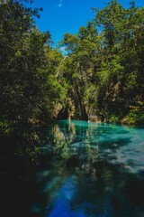 Vertical top view of the surface of blue and turquoise lake surrounded by lush green vegetation