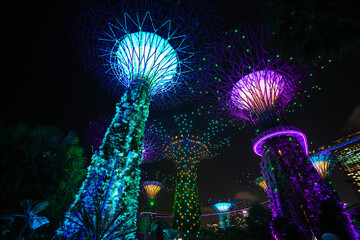 Futuristic wide angle video of the light show during the night from Garden by the Bay landmark in Singapore, 2023.