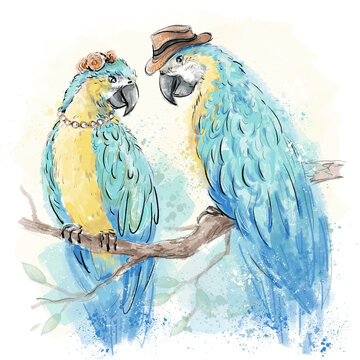 A pair of blue and yellow parrots sitting on a branch. Hand-drawn lovesick parrots. Animals in the form of a wedding illustration