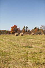 Vertical shot of dry hay bales on a green pasture in Ontario, Canada