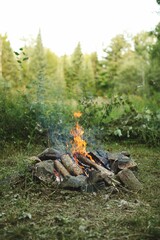 Vertical shot of a campfire on the ground surrounded by greenery in forest - camping concept