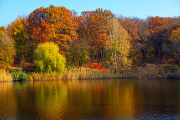 Obraz premium Autumn park and lake . Fall nature reflection in lake water 