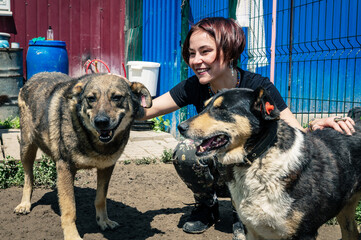 Dog at the shelter. Animal shelter volunteer takes care of dogs.