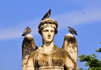 Closeup of pigeons sitting on angel sculpture in Jardin des Tuileries, Paris, France
