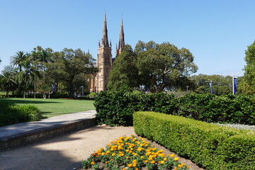 Hyde Park und St. Mary's Cathedral in Sydney