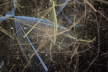 Green blue pattern of curved shapes and strokes on a black background. Abstract fractal 3D rendering