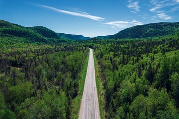 Drone shot of the valley road in Sainte-Marguerite between trees and mountains in the background