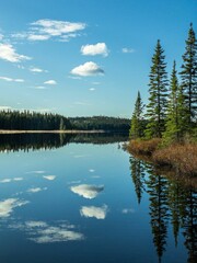 Vertical shot of a lake surrounded by trees in a forest of Quebec in Canada