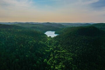 Beautiful view of a lake in the middle of a forest with green trees during sunrise