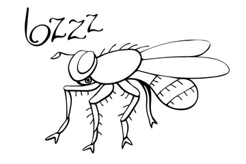 Vector black outline fly in doodle sketch style. Side view. Black and white drawing insect. Clipart, design element on theme of nature, spring, summer, isolated