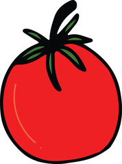 Tomato drawing isolated