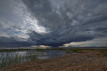 Approaching thunderstorm in Gulf of Finland of Baltic Sea: summer, June, sunset, reeds, colorful sky.