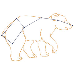 Constellation Petite Ourse