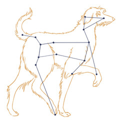 Constellation Grand Chien © Claire