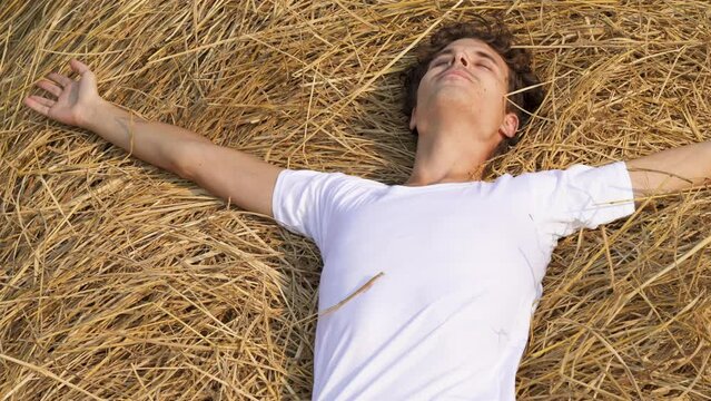 happy man lying in wheat field hay
