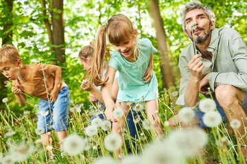 Fototapeta premium Family blowing dandelions together at forest in summer