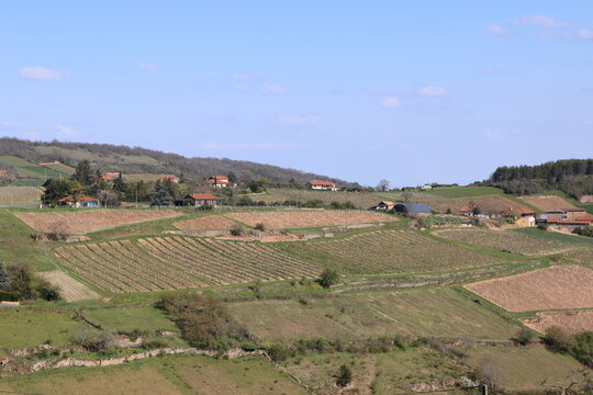 Vue sur le Beaujolais depuis le Village de Oingt