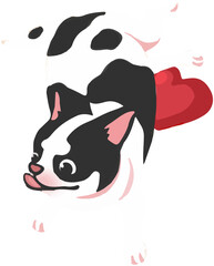 Cute fat dogs Puppy Animal Icon